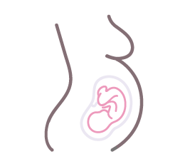 Illustration of a human fetus in the womb, depicted as a simple line drawing showing the outline of a pregnant belly and a minimalistic fetal shape.