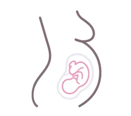 Illustration of a human fetus in the womb, depicted as a simple line drawing showing the outline of a pregnant belly and a minimalistic fetal shape.